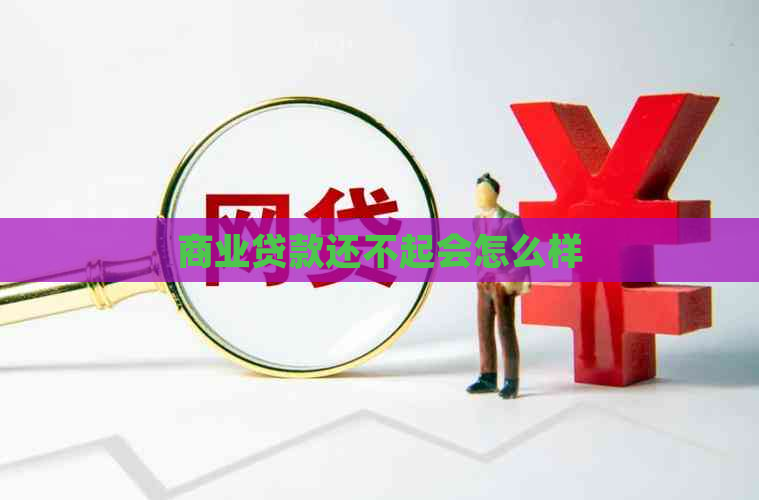 商业贷款还不起会怎么样 商业贷款还不起会怎么样