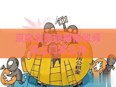 京东金条逾期频繁上门怎么办