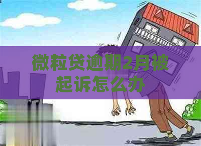 微粒贷逾期2月被起诉怎么办