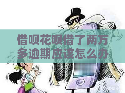 借呗花呗借了两万多逾期应该怎么办