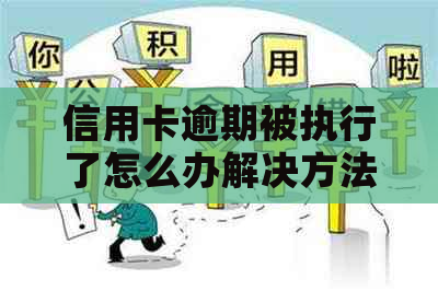 信用卡逾期被执行了怎么办解决方法 信用卡逾期被执行了怎么办解决方法