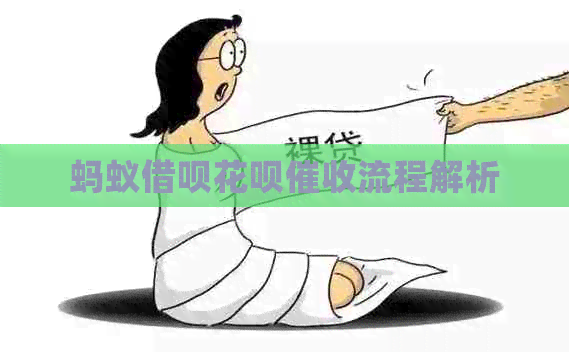 蚂蚁信用卡白条流程解析