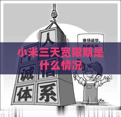 小米三天宽限期是什么情况