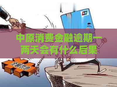 中原消费金融逾期一两天会有什么后果