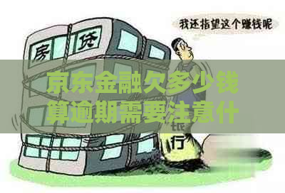 京东金融欠多少钱算逾期需要注意什么