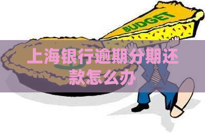 上海银行逾期分期还款怎么办
