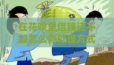 在花呗里借钱还不起怎么办处理方式