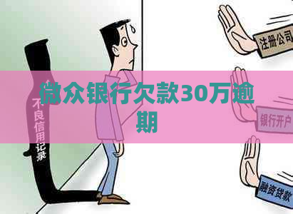 微众银行欠款30万逾期