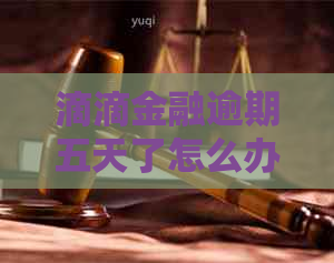 滴滴金融逾期五天了怎么办处理方式 滴滴金融逾期五天了怎么办处理方式