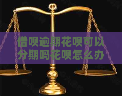 信用卡逾期白条可以分期吗白条怎么办理分期还款