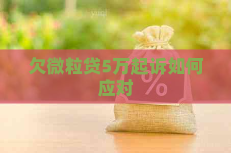 欠微粒贷5万起诉如何应对