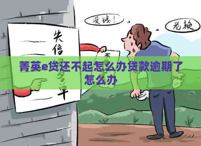 菁英e贷还不起怎么办贷款逾期了怎么办