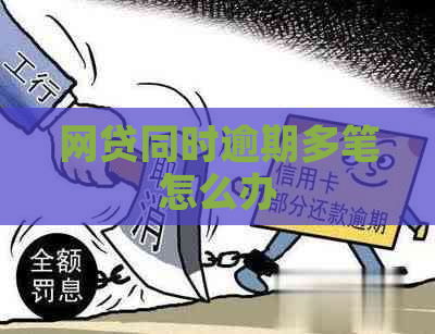 网贷同时逾期多笔怎么办