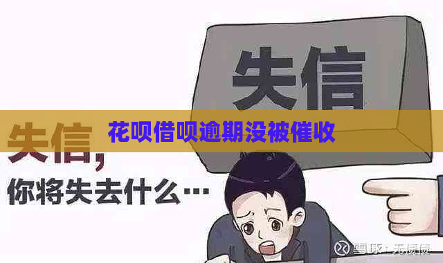 白条信用卡逾期没被