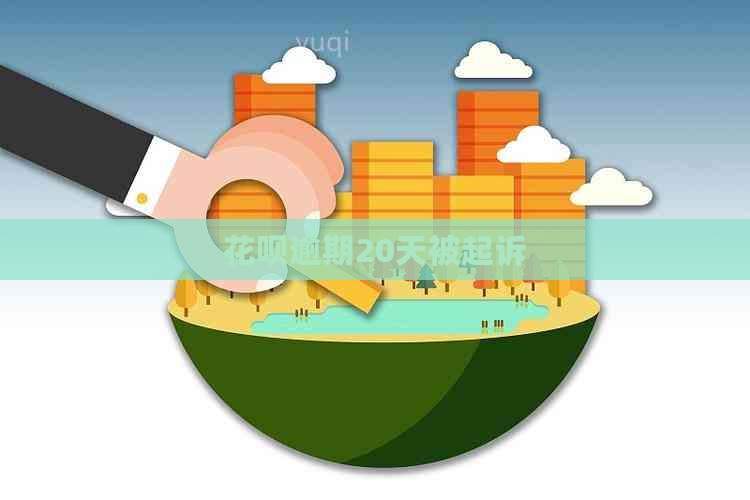 白条逾期20天被起诉