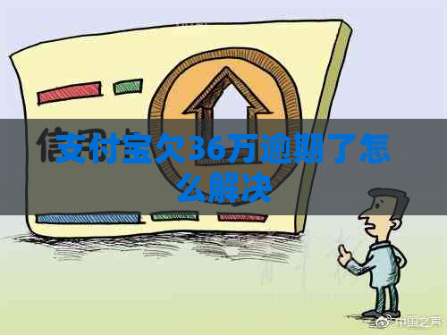 信用卡欠36万逾期了怎么解决