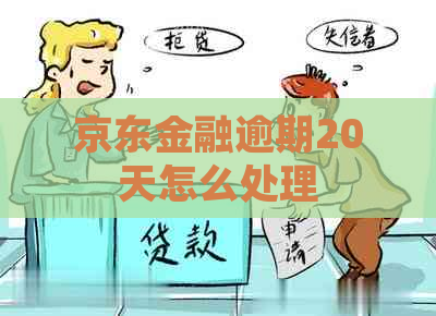 京东金融逾期20天怎么处理