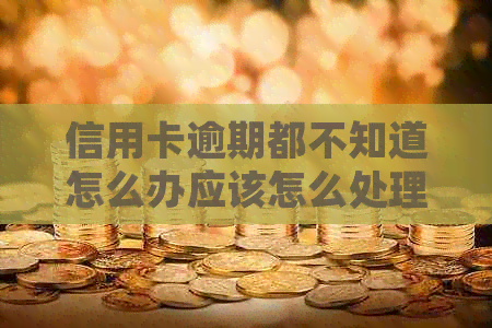 信用卡逾期都不知道怎么办应该怎么处理