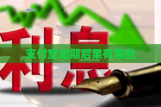 支付室逾期后果有哪些
