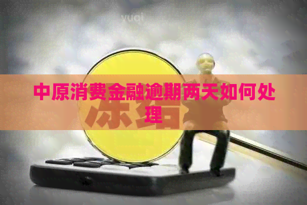 中原消费金融逾期两天如何处理