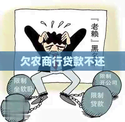 欠农商行贷款不还