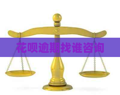 白条逾期找谁咨询