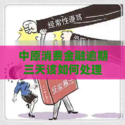 中原消费金融逾期三天该如何处理