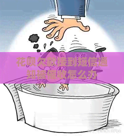 白条欠款接到短信通知被怎么办