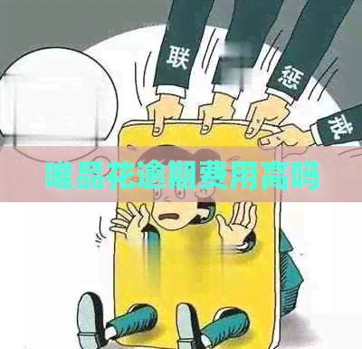 唯品花逾期费用高吗