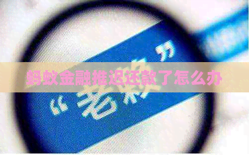 蚂蚁金融推迟还款了怎么办