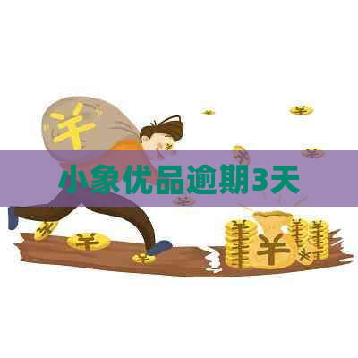 小象优品逾期3天