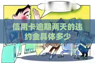 信用卡逾期两天的违约金具体多少