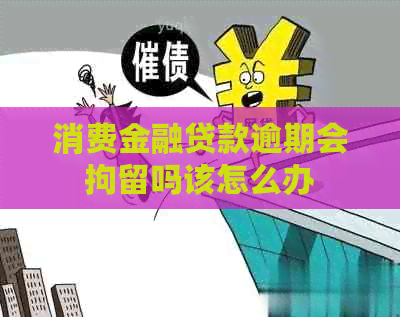 消费金融贷款逾期会拘留吗该怎么办