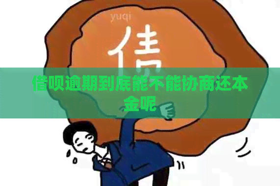 信用卡逾期到底能不能协商还本金呢