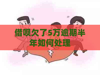 信用卡欠了5万逾期半年如何处理