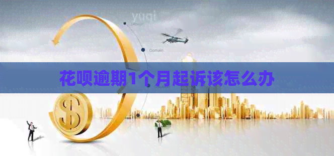 白条逾期1个月起诉该怎么办