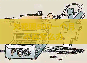 欠白条500一个月不还怎么办