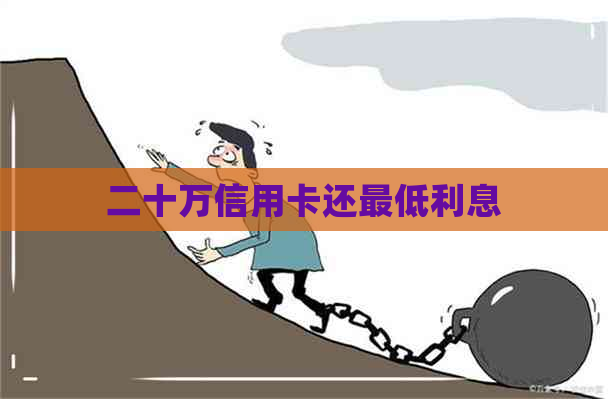 二十万信用卡还更低利息