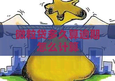 微粒贷多久算逾期怎么计算