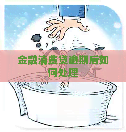 金融消费贷逾期后如何处理