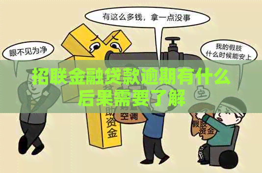 招联金融贷款逾期有什么后果需要了解