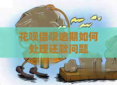 白条信用卡逾期如何处理还款问题