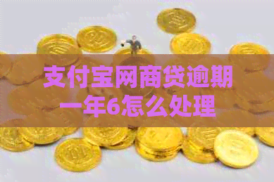 信用卡白条贷逾期一年6怎么处理