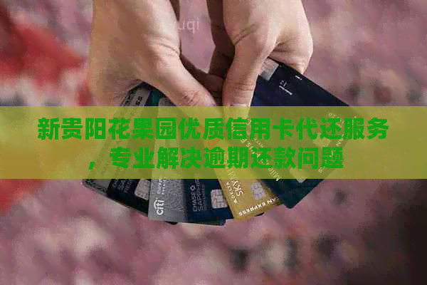 新贵阳花果园优质信用卡代还服务，专业解决逾期还款问题