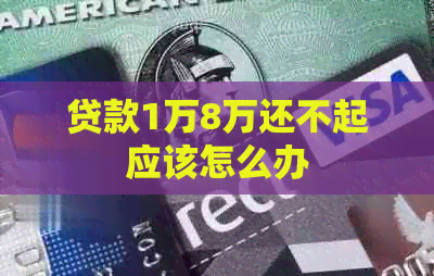 贷款1万8万还不起应该怎么办