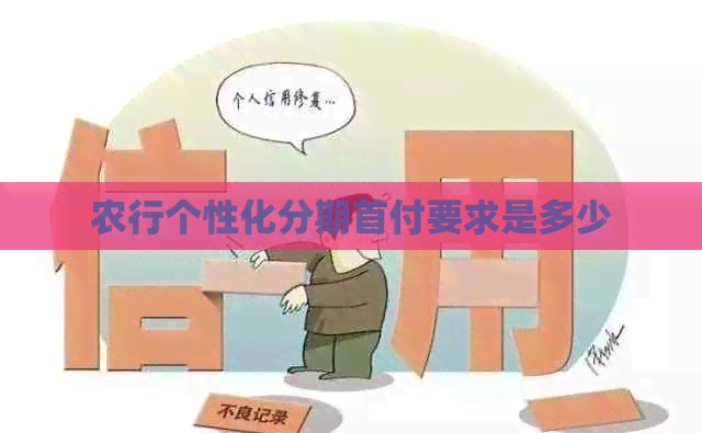 农行个性化分期首付要求是多少