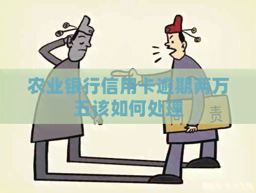 农业银行信用卡逾期两万五该如何处理