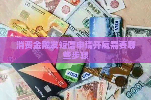 消费金融发短信申请开庭需要哪些步骤
