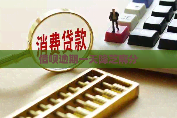 信用卡逾期一天降芝麻分