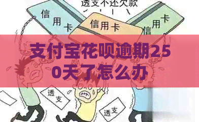 信用卡白条逾期250天了怎么办